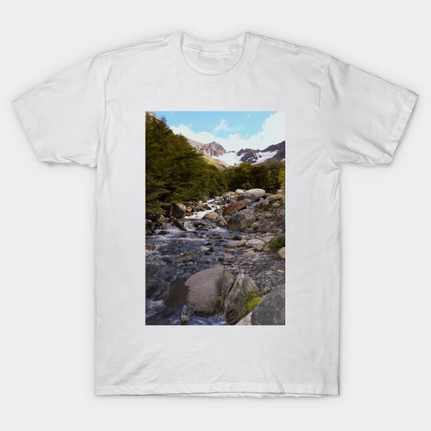 A rushing mountain stream T-Shirt by stevepaint